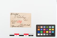 Etiketten zu Bronzegürtelhaken (NHMW-PRAE-024098)